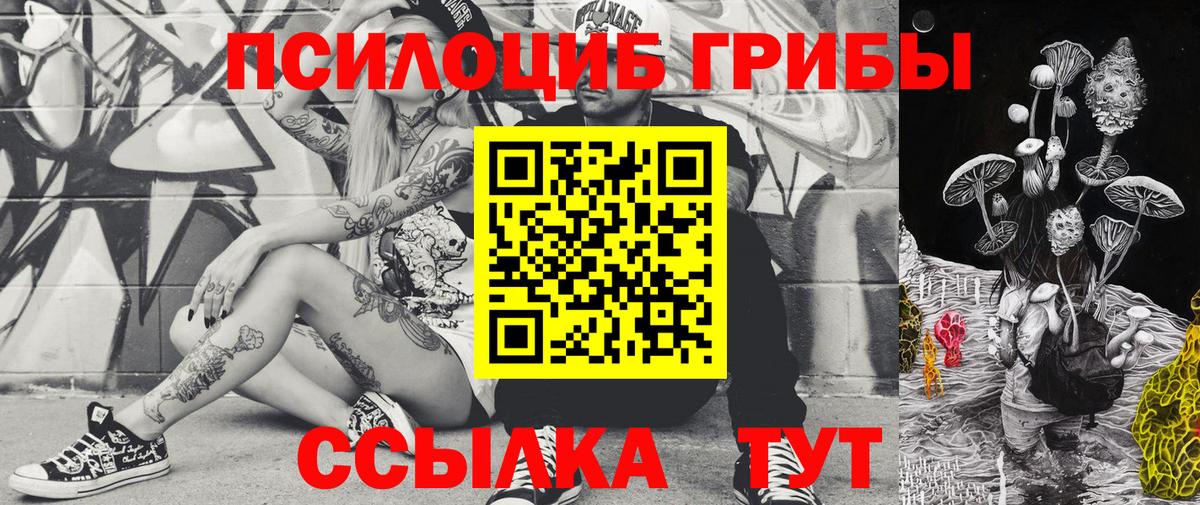 Галлюциногенные грибы мицелий Луховицы
